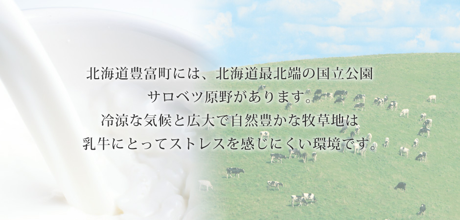 北海道豊富町には、北海道最先端の国立公園サロベツ原野があります。冷涼な気候と広大で自然豊かな牧草地は乳牛にとってストレスを感じにくい環境です。