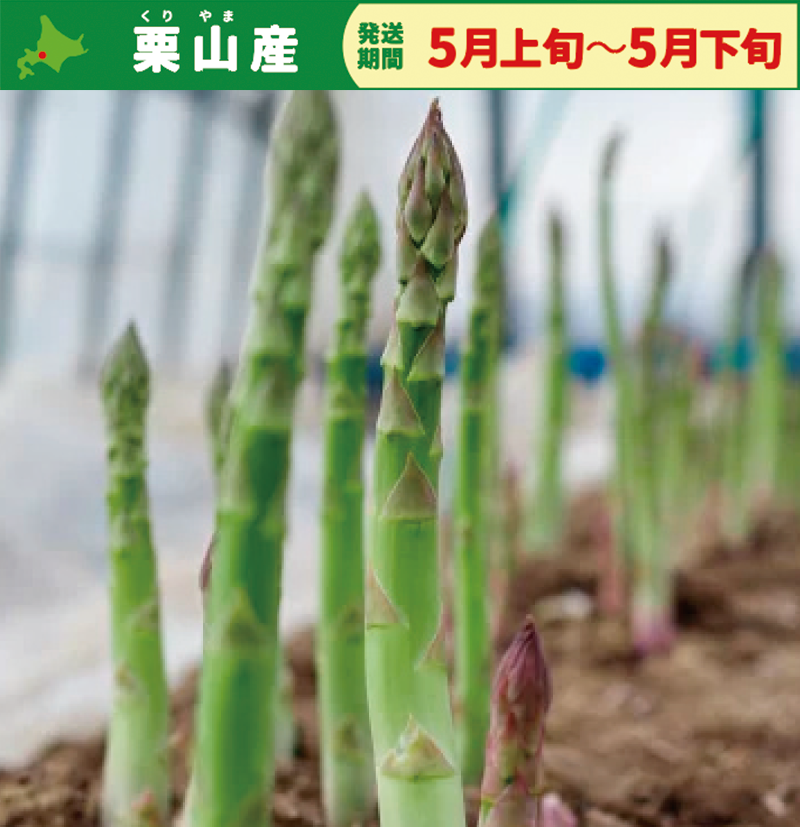 (画像③：自然農園アスパラ)