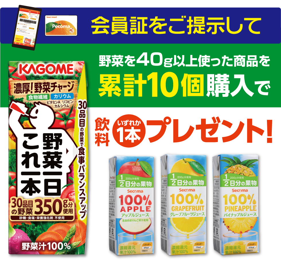 景品イメージ