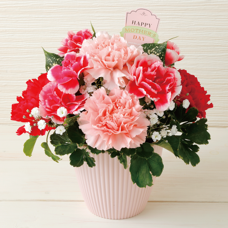 (画像:スイートアレンジメント イメージ画像)